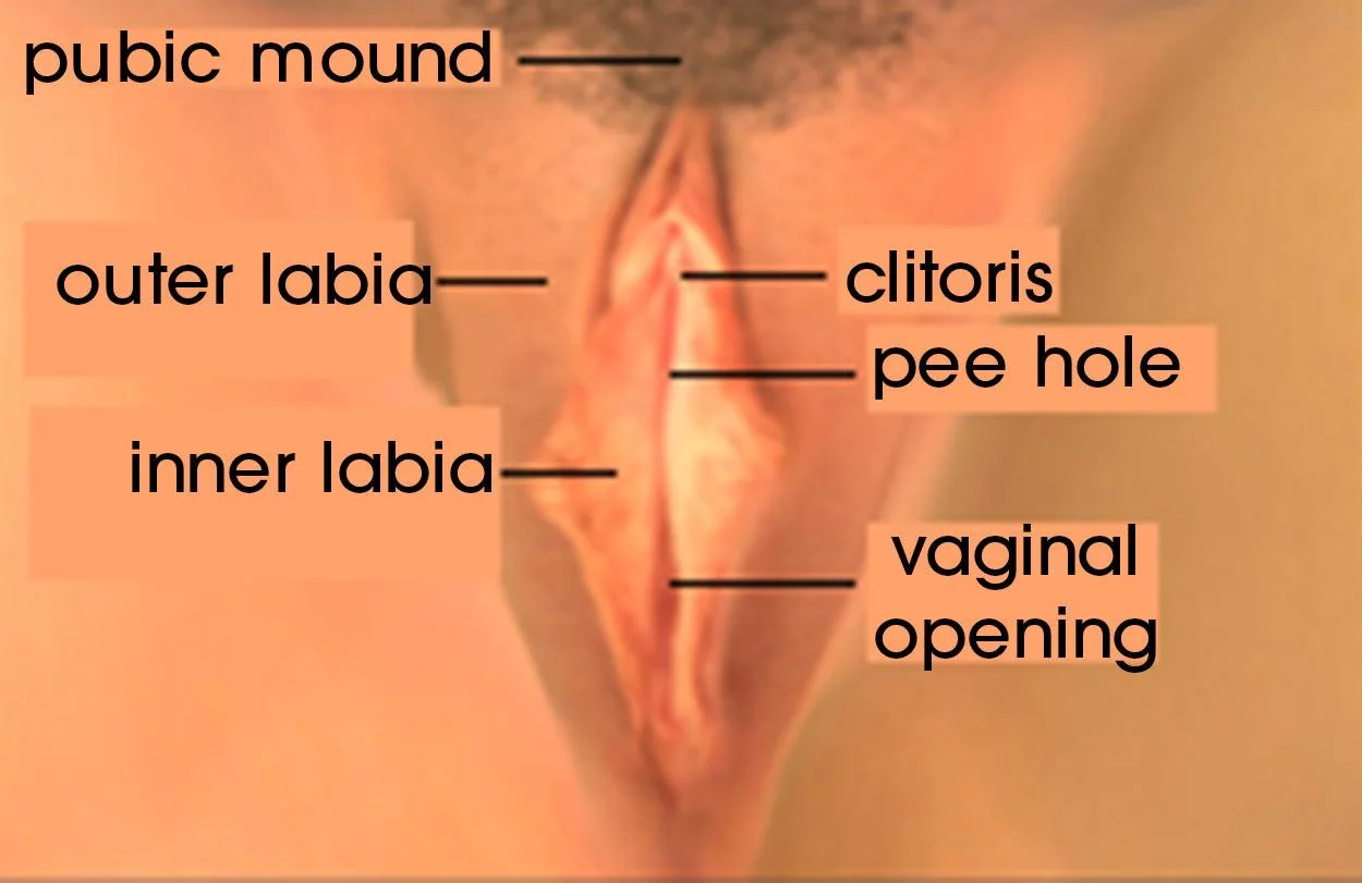 A vagina pic
