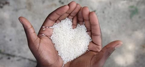 twee handen met rijst in de vorm van een hartje erin