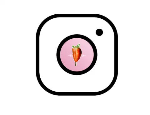 instagram logo